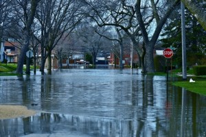 flood insurance photo